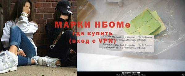 прущие грибы Магадан