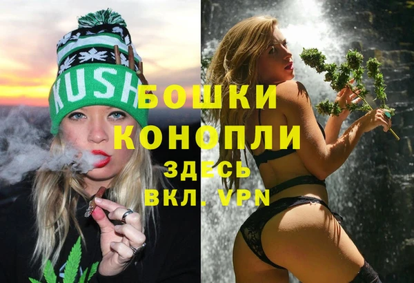 прущие грибы Магадан