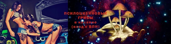 гидра Магас
