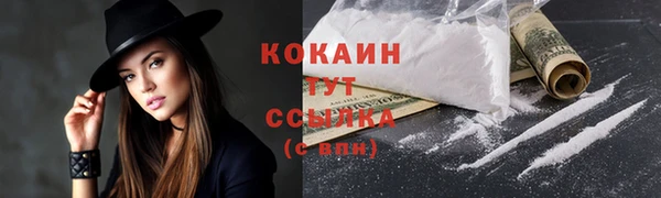 прущие грибы Магадан