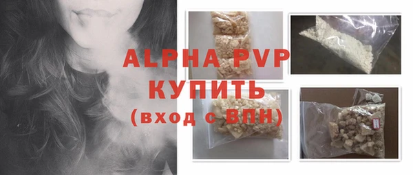 прущие грибы Магадан