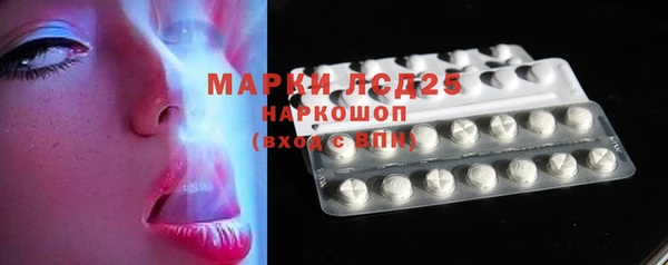 гидра Магас