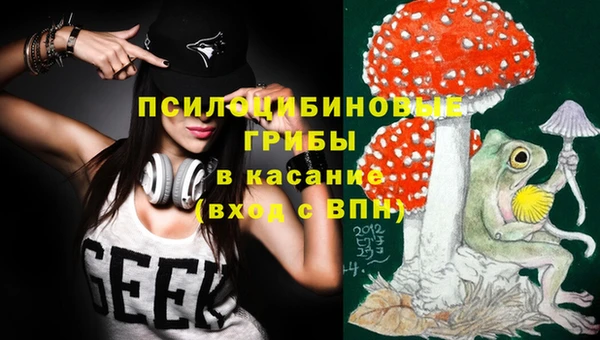прущие грибы Магадан