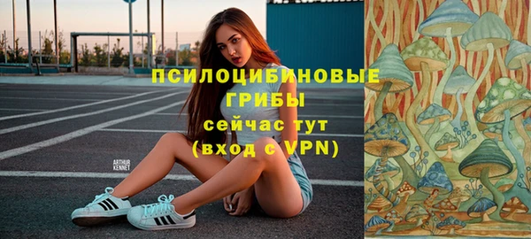 гидра Магас