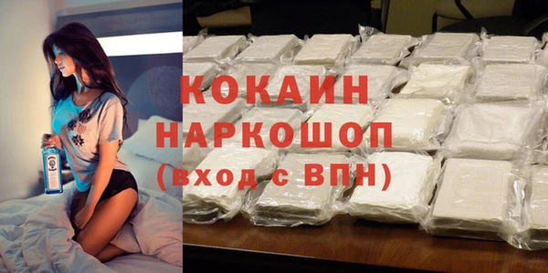 гидра Магас