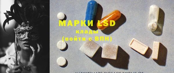 прущие грибы Магадан