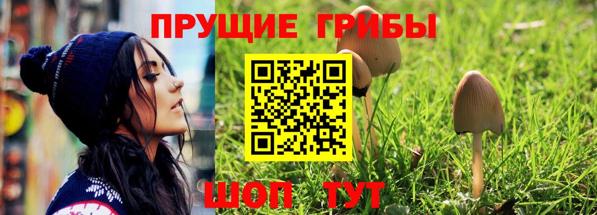 Галлюциногенные грибы Magic Shrooms  Вход с VPN  Новокубанск 