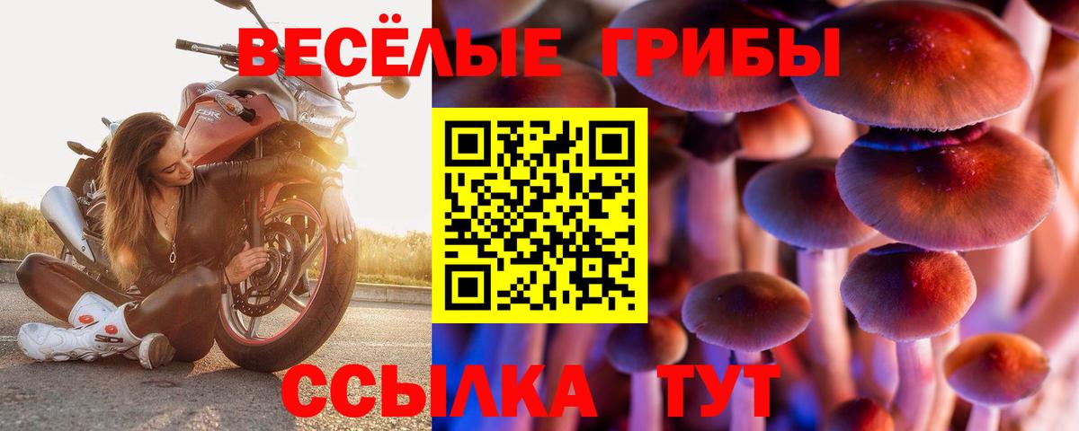 Псилоцибиновые грибы прущие грибы Новокубанск