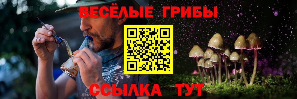 Псилоцибиновые грибы Magic Shrooms  Новокубанск 